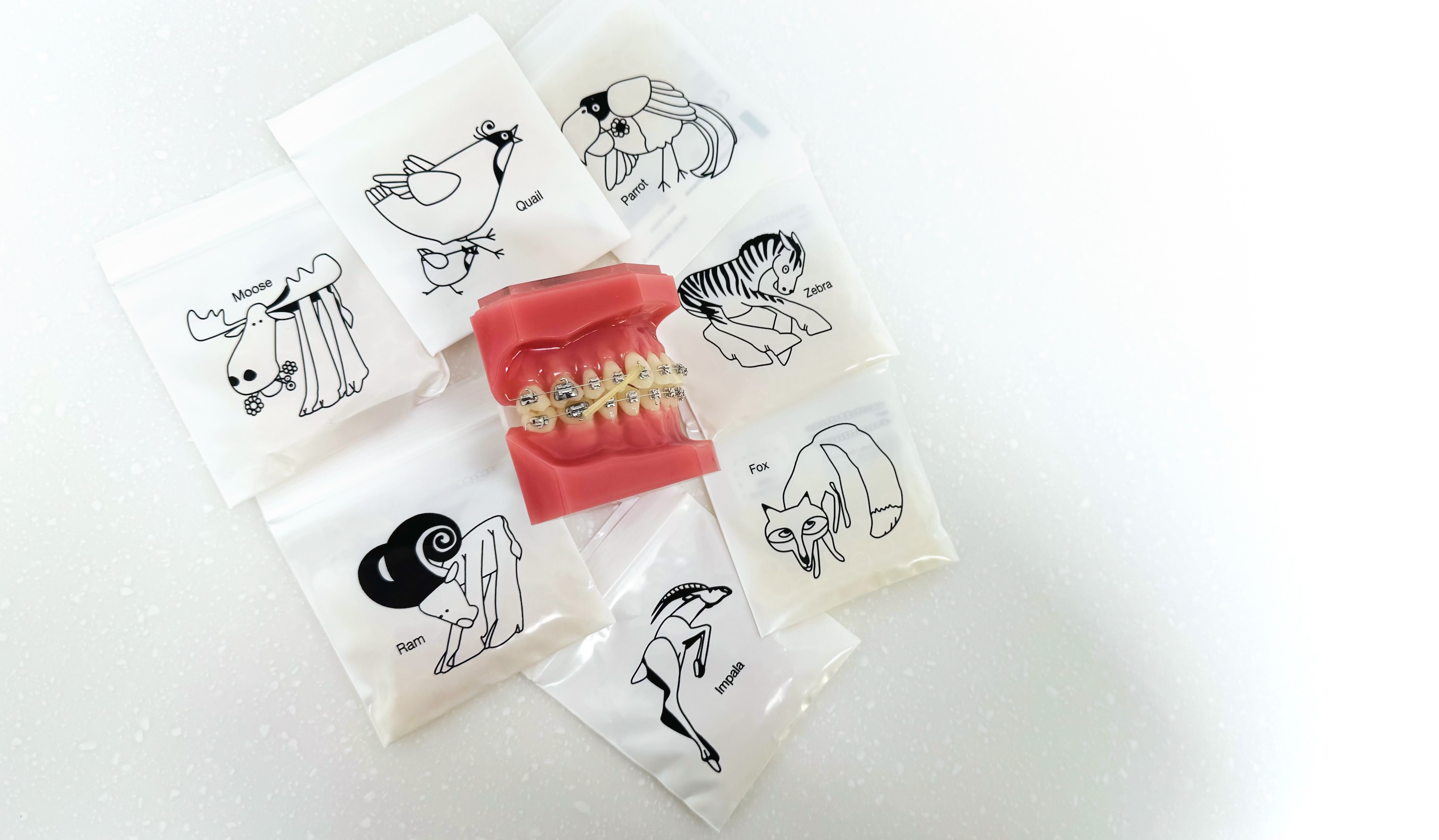 Les élastiques en orthodontie